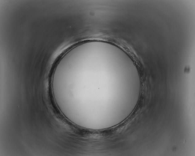 X0000100370344200807031907