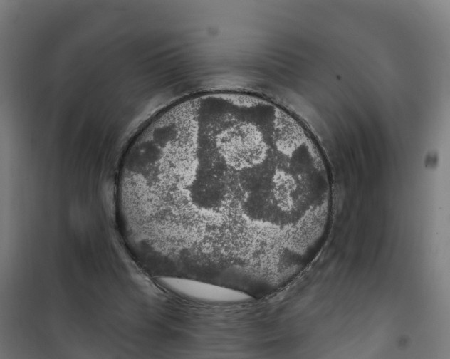 X0000100370345200807031907