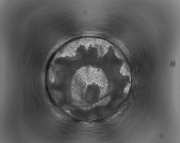 X0000100370346200807031907