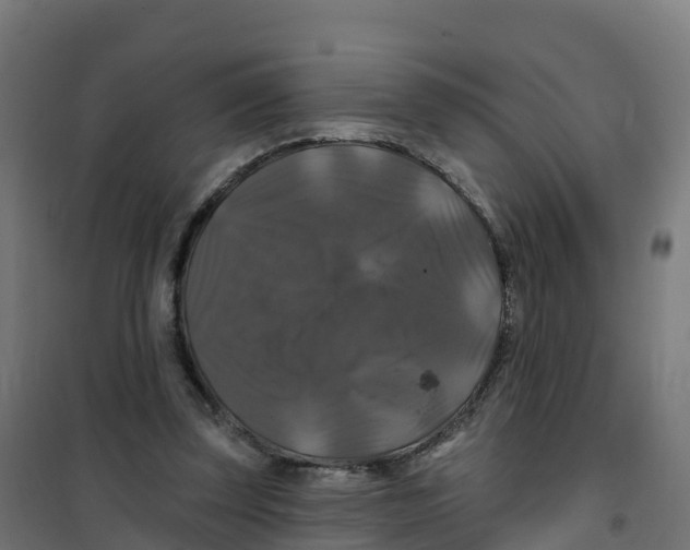 X0000100370347200807031907