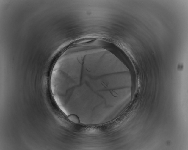 X0000100370348200807031907