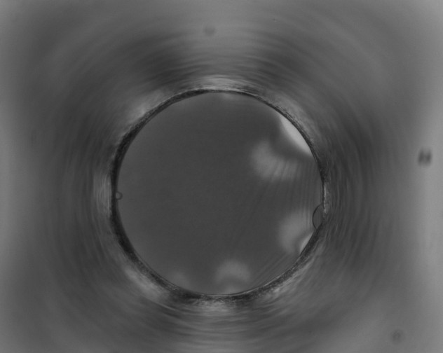 X0000100370349200807031907