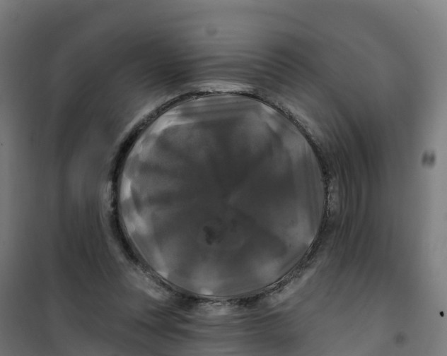 X0000100370351200807031907