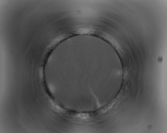 X0000100370353200807031907