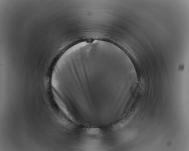 X0000100370355200807031907