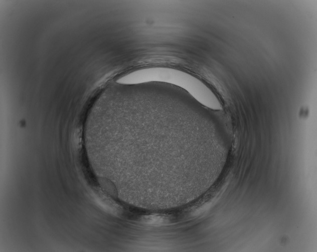 X0000100370356200807031907