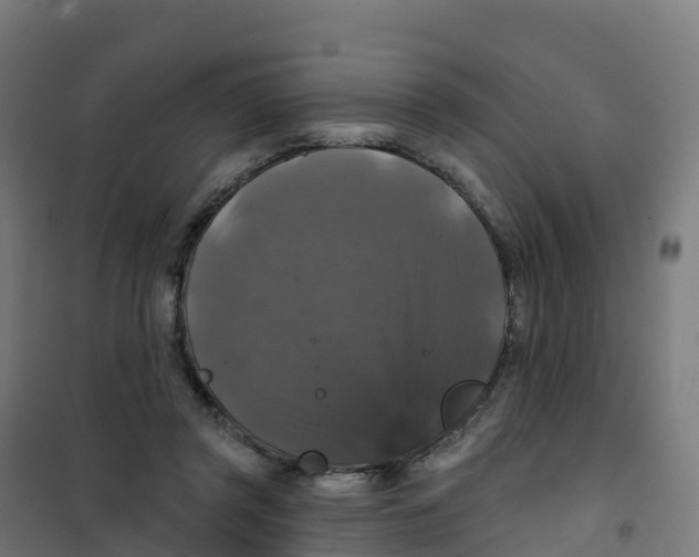 X0000100370357200807031907