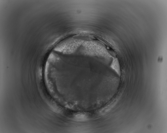 X0000100370358200807031907