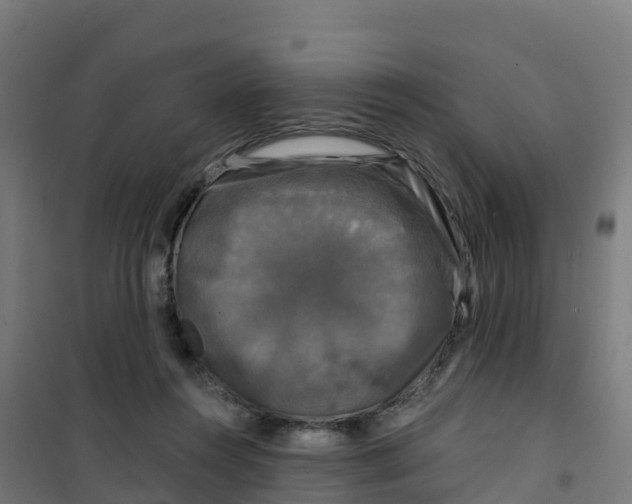 X0000100370360200807031907