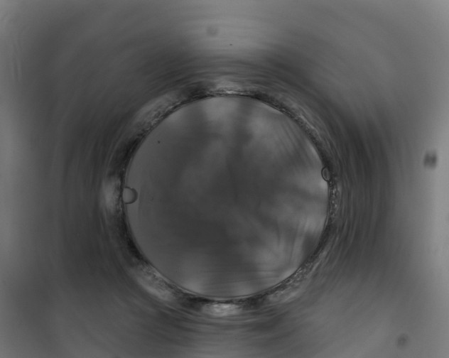 X0000100370361200807031907