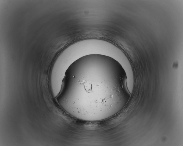 X0000100370362200807031907