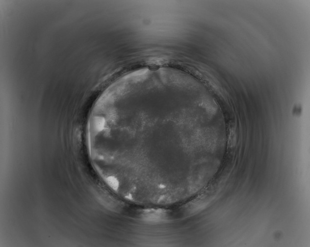 X0000100370363200807031907