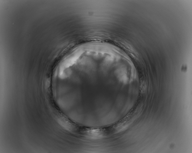 X0000100370365200807031907