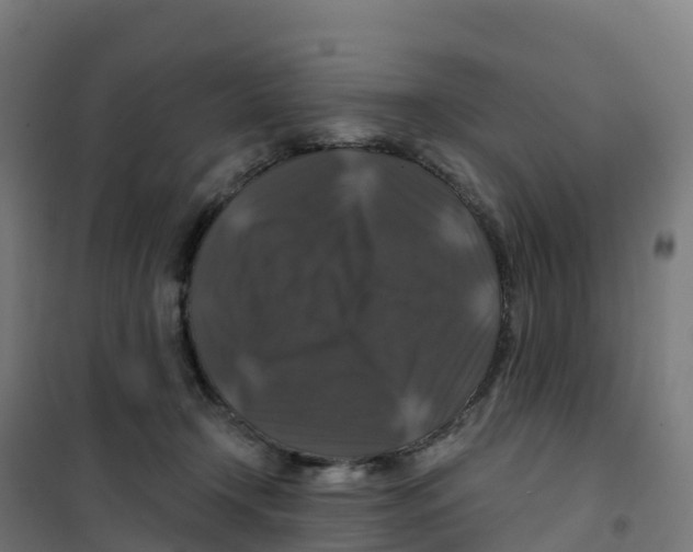 X0000100370366200807031907