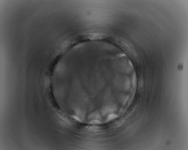 X0000100370367200807031907