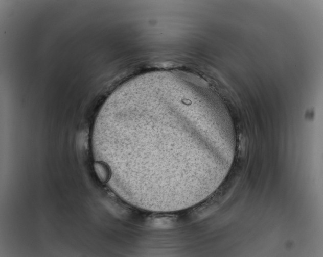 X0000100370368200807031907