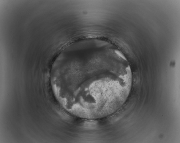 X0000100370369200807031907