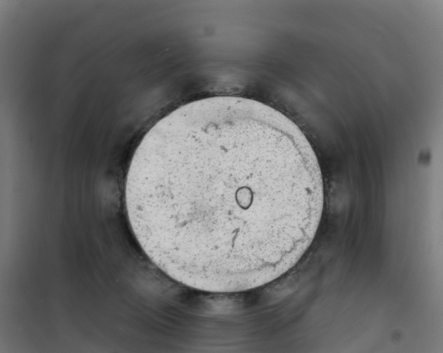 X0000100370370200807031907