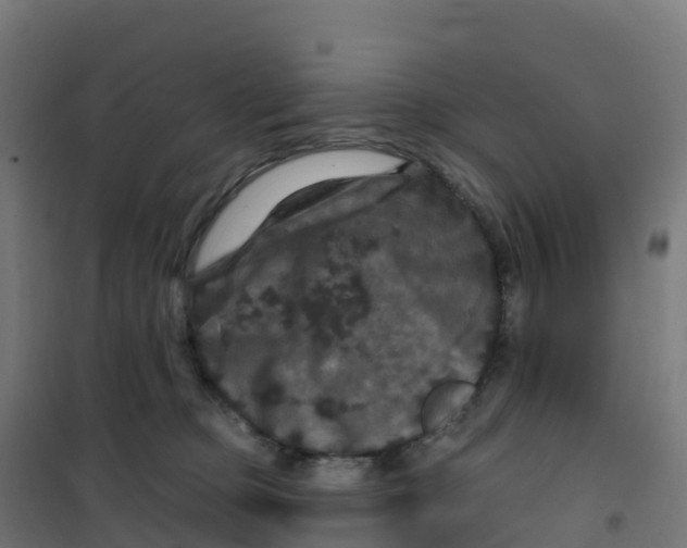 X0000100370373200807031907