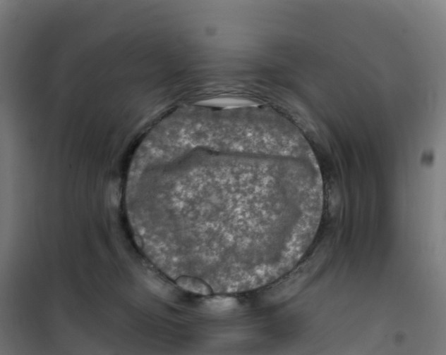 X0000100370374200807031908