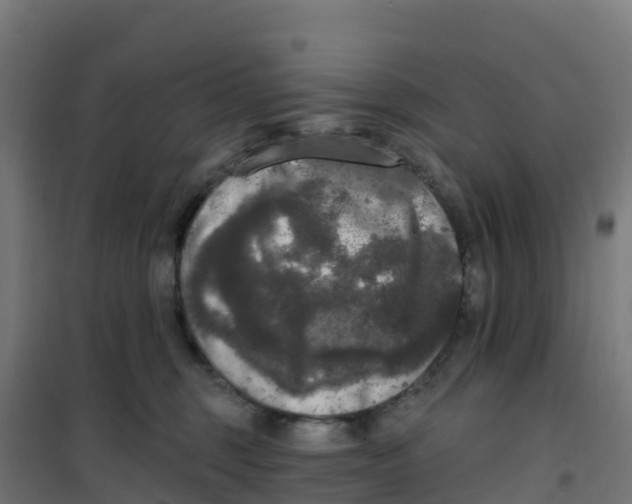 X0000100370375200807031908