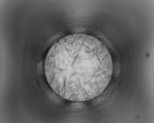 X0000100370378200807031908