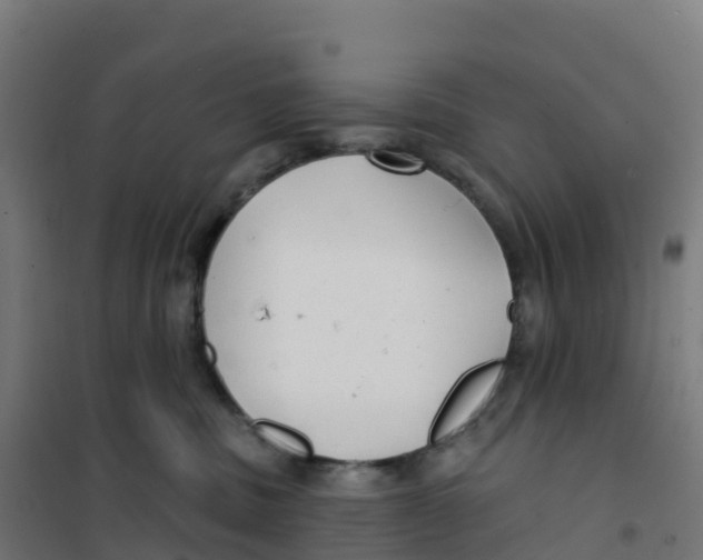 X0000100370379200807031908