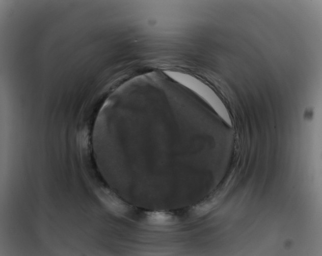 X0000100370380200807031908