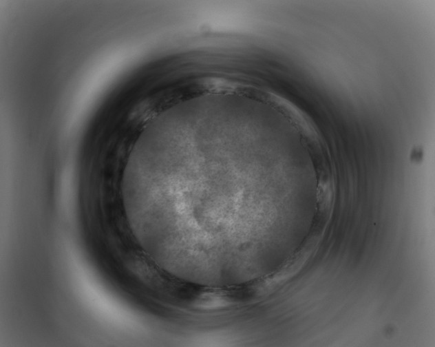 X0000100370381200807031908