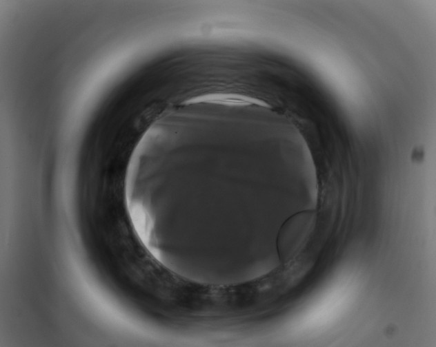 X0000100370383200807031908