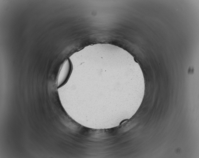 X0000100370384200807031908