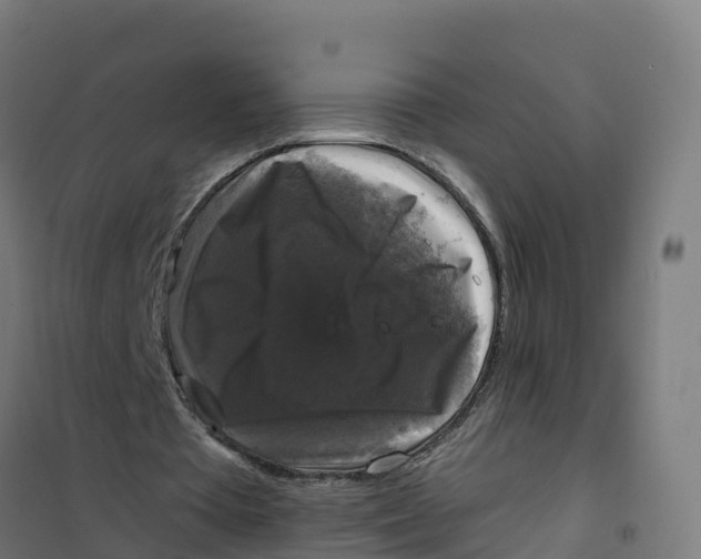 X0000100370385200807031907