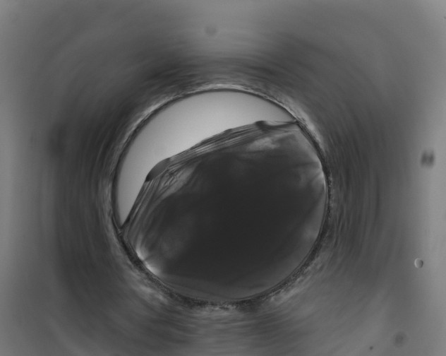 X0000100370386200807031907