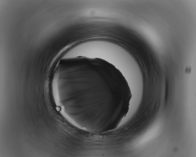 X0000100370387200807031907