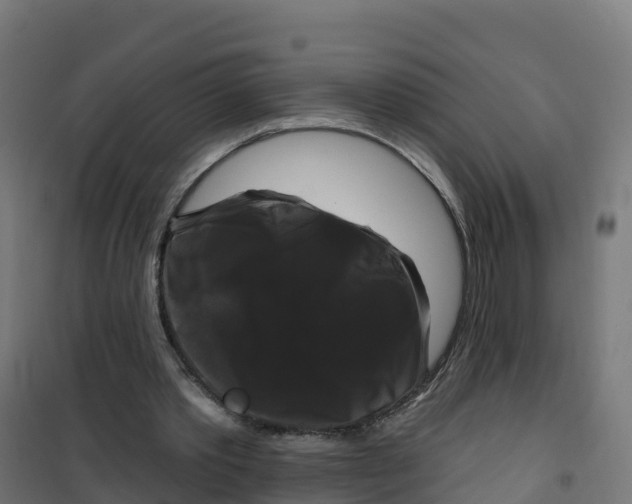 X0000100370389200807031907