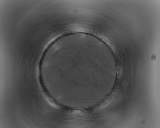 X0000100370390200807031907