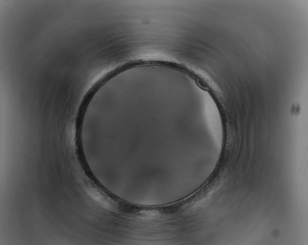 X0000100370391200807031907