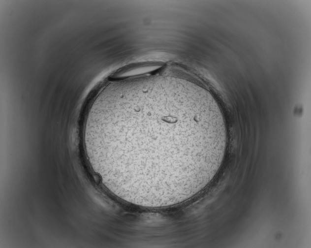 X0000100370392200807031907