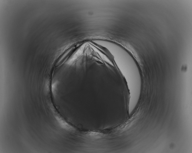 X0000100370393200807031907