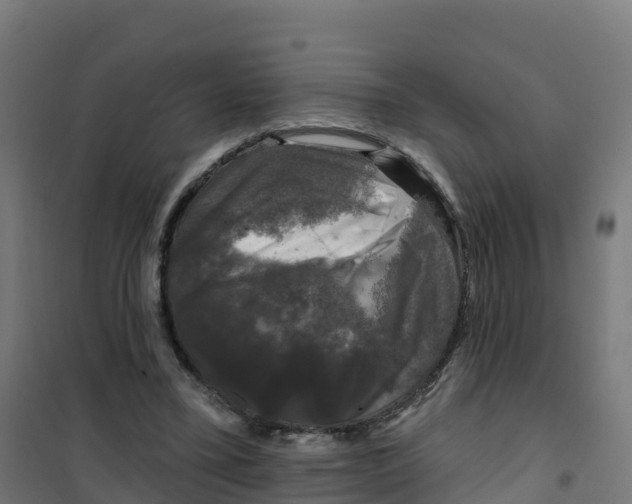 X0000100370395200807031907