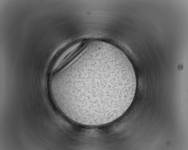 X0000100370396200807031907