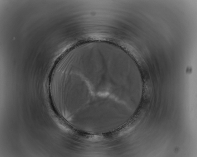 X0000100370398200807031907