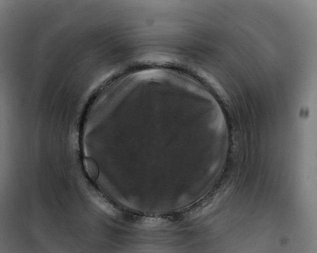 X0000100370399200807031907