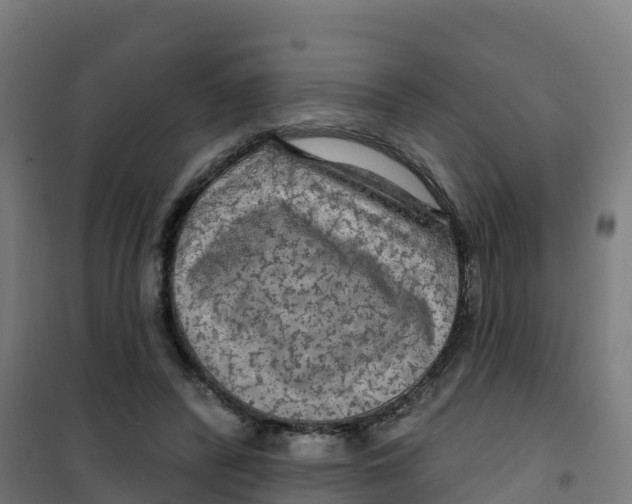 X0000100370400200807031907