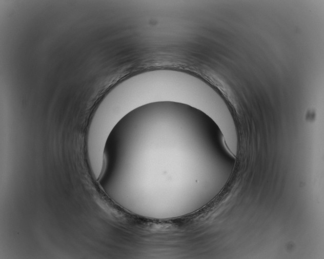 X0000100370401200807031907