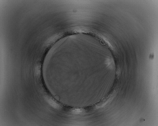 X0000100370402200807031907