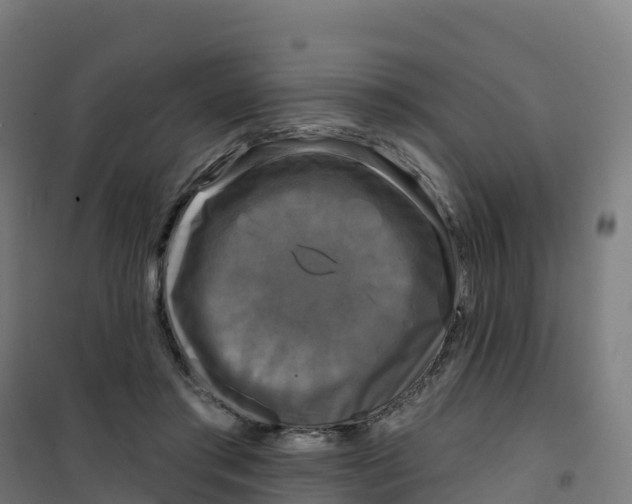 X0000100370405200807031907