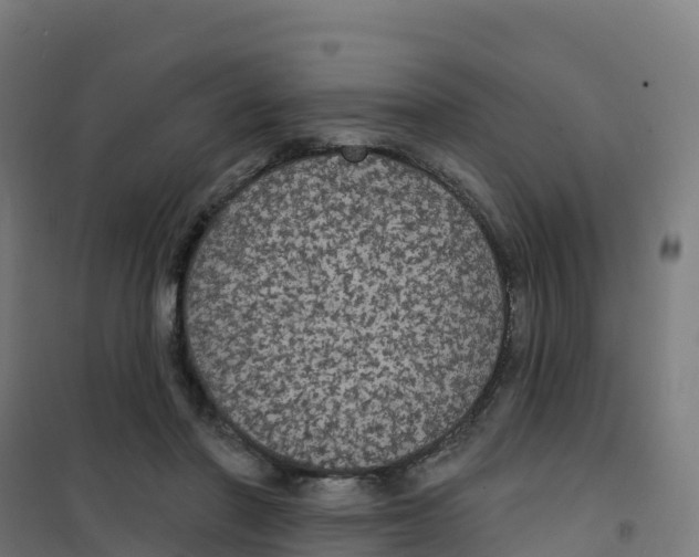 X0000100370406200807031907