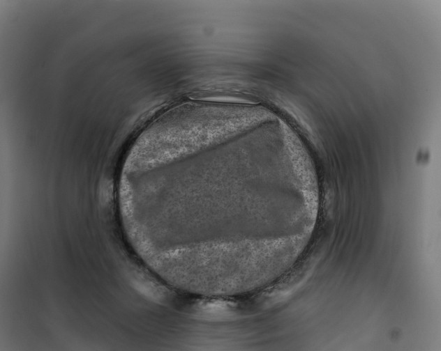 X0000100370407200807031906