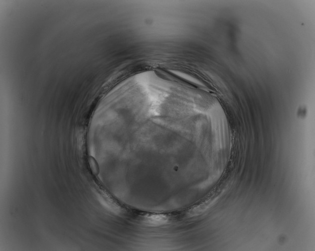 X0000100370409200807031906